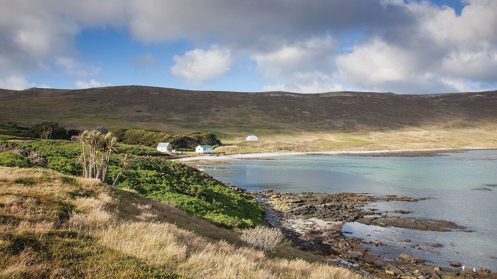 Groene baai met wit strand en de witte gebouwen van de settlement op Carcass Island