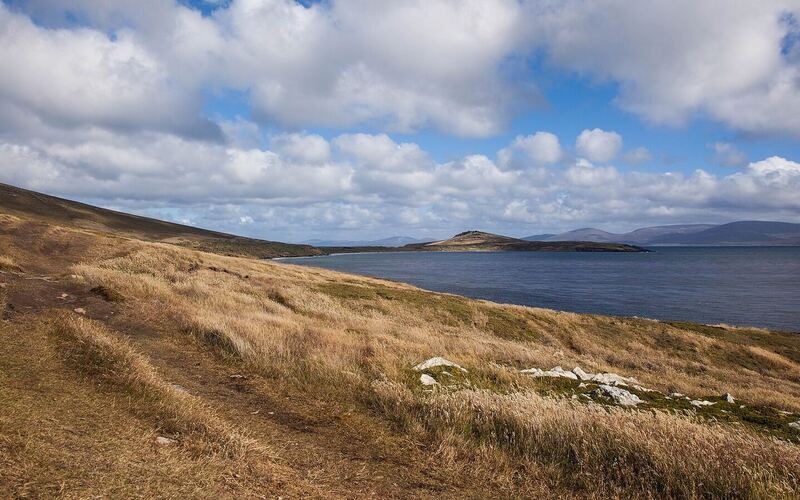 Glooiend geel grasland op Carcass Island met uitzicht op een blauwe baai en eilanden onder stapelwolken