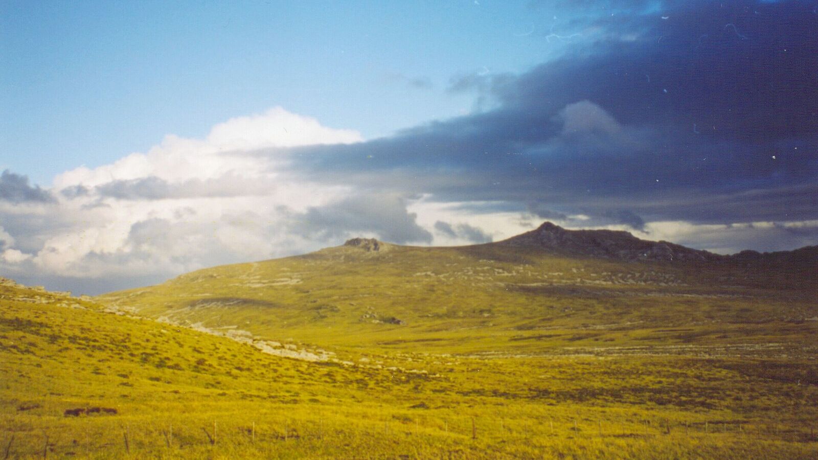 Glooiend geel-groen heuvellandschap op de Falklandeilanden onder een blauwe lucht met wolken