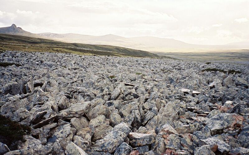 Stone run met grote grijze rotsblokken op de flank van Mount Kent op de Falklandeilanden