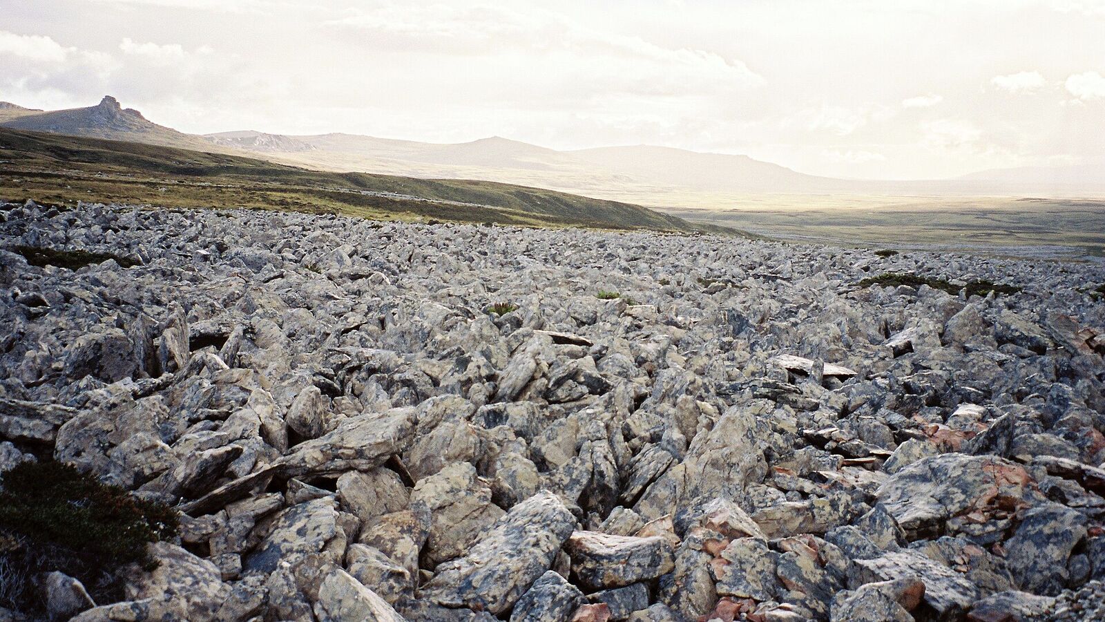 Stone run met grote grijze rotsblokken op de flank van Mount Kent op de Falklandeilanden
