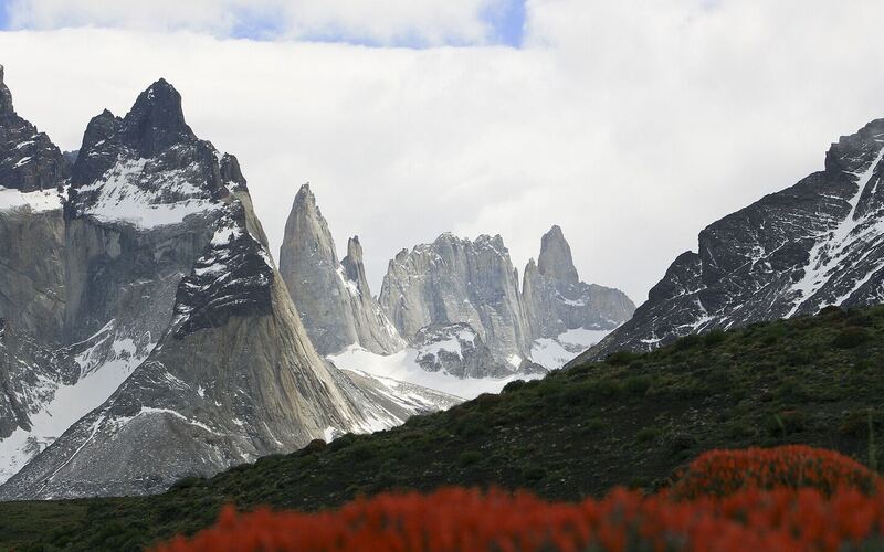 De granieten pieken van de Cuernos en de Torres del Paine boven een groene vallei met rode bloeiende struiken
