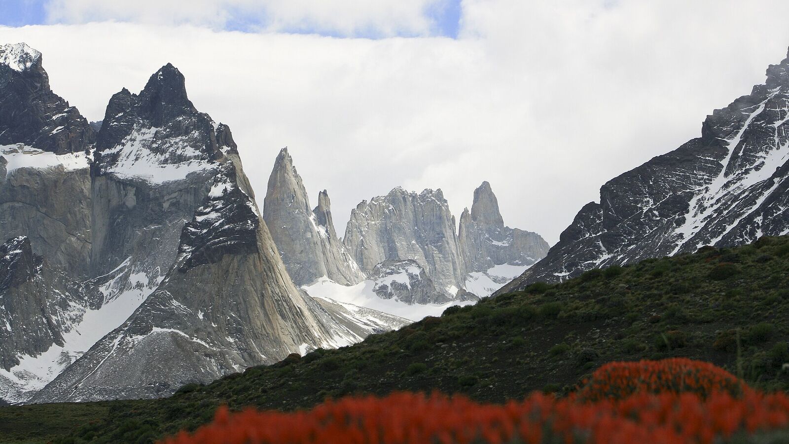 De granieten pieken van de Cuernos en de Torres del Paine boven een groene vallei met rode bloeiende struiken
