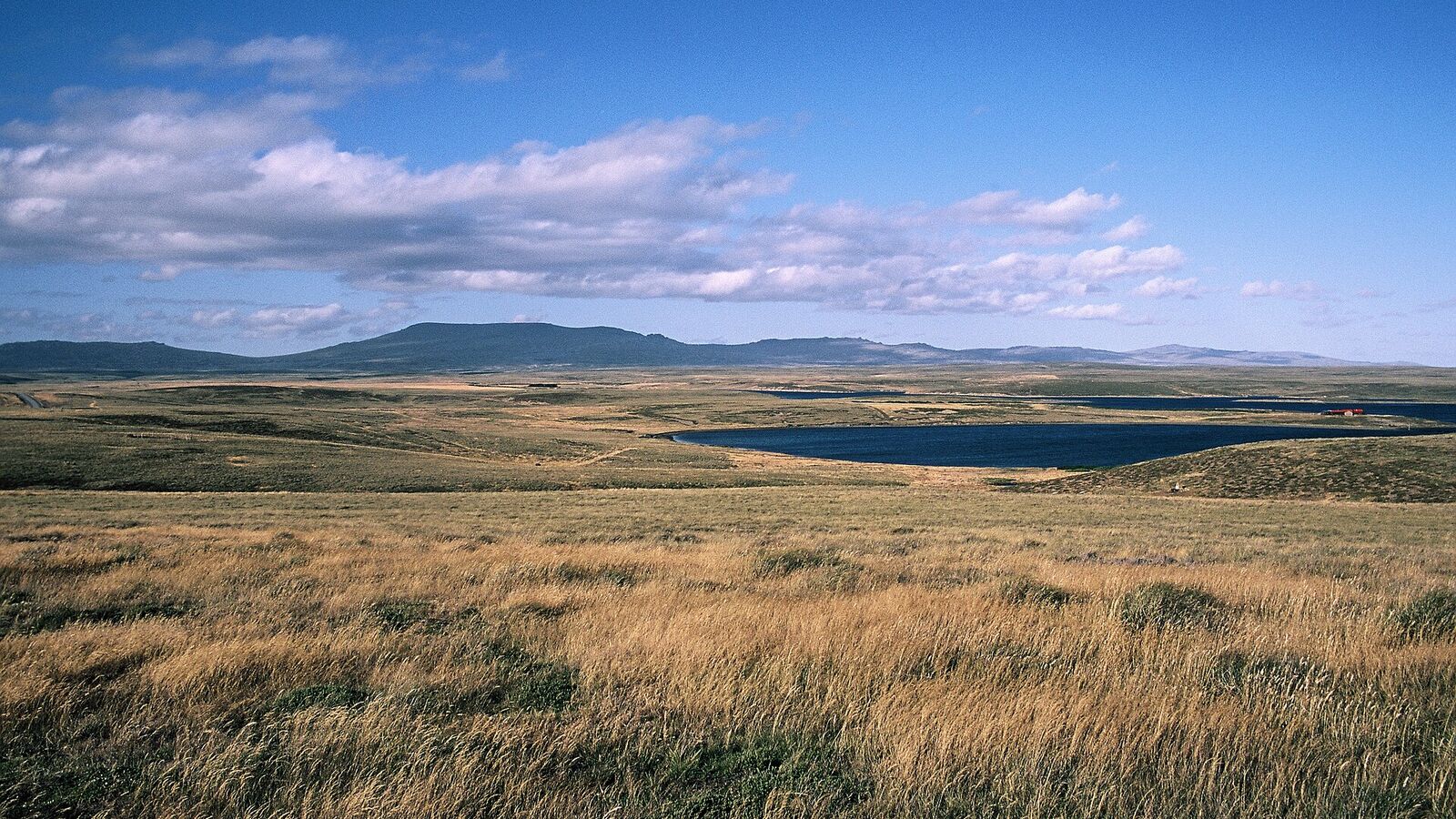 Wijds goudgeel grasland met een meertje en in de verte de heuvelrug rond Mount Usborne onder een blauwe lucht